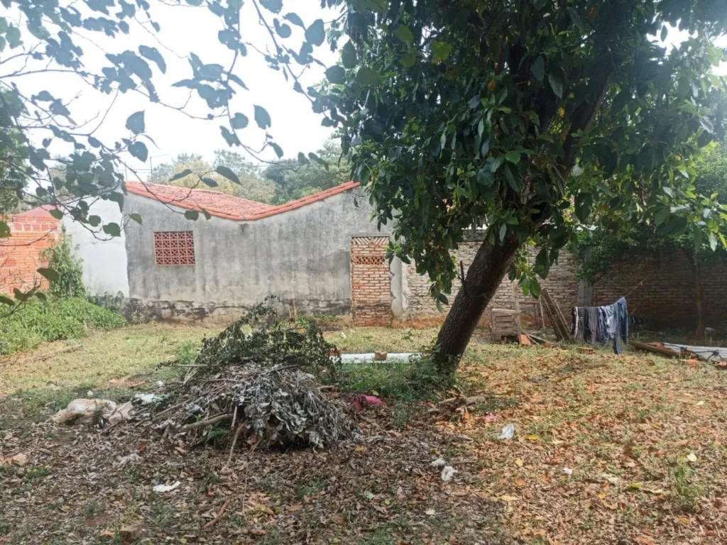 Anuncio 2681993 — foto 2