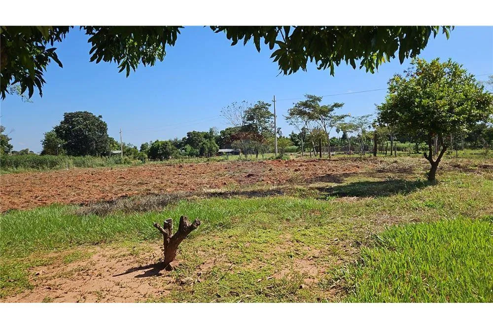 VENDO CAMPO DE 12 HAS 9.690 MTS.2 EN CURUGUATY — foto 2