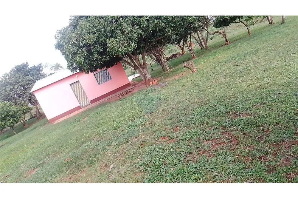 VENDO CAMPO DE 12 HAS 9.690 MTS.2 EN CURUGUATY — foto 3