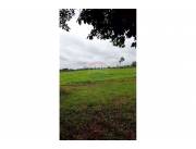 VENDO CAMPO DE 12 HAS 9.690 MTS.2 EN CURUGUATY