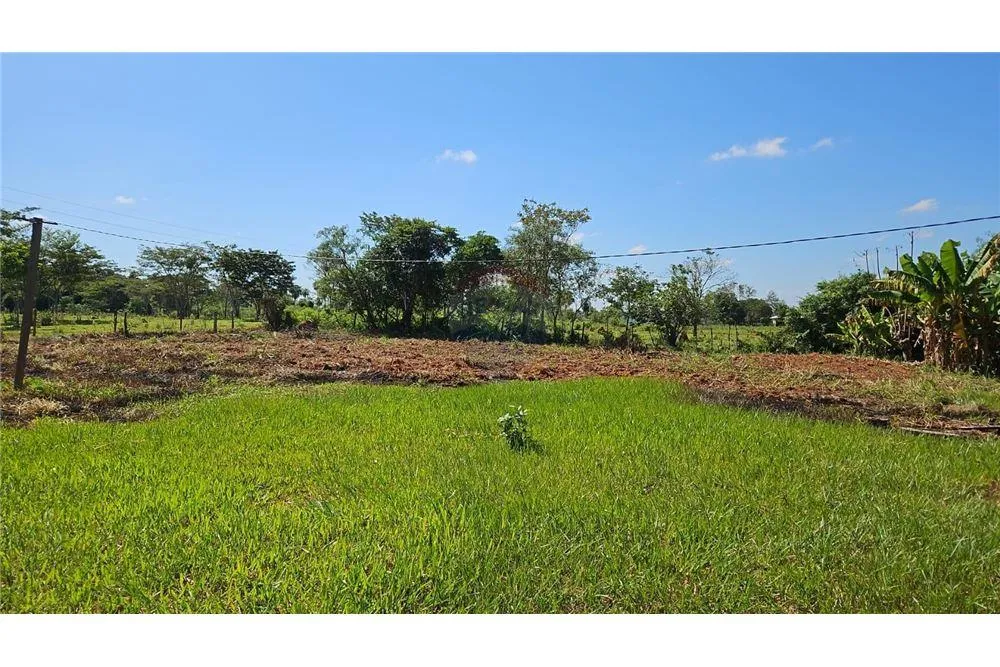 VENDO CAMPO DE 12 HAS 9.690 MTS.2 EN CURUGUATY — foto 2