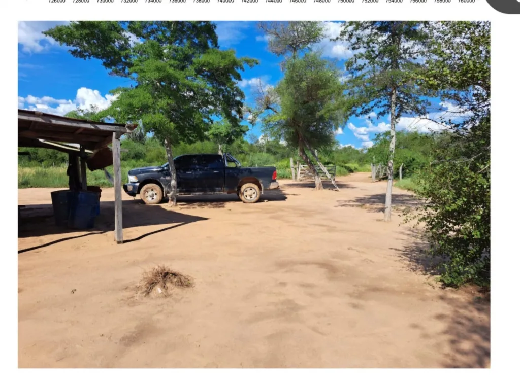 LA PATRIA LA GERENZA, CHACO: INMEJORABLES 4.000 HAS, MONTES Y PASTURAS, ALTAMENTE GANADE — photo 3