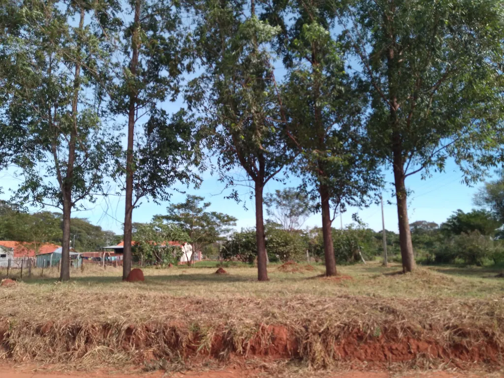 VENDO HERMOSO TERRENO UBICADO A 1500 M. DEL ARROYO TAPIRACUAI!!!! IDEAL PARA CASA QUINTA. — foto 2