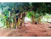 Terreno en Kennedy: Inversión Ideal en Capiatá
