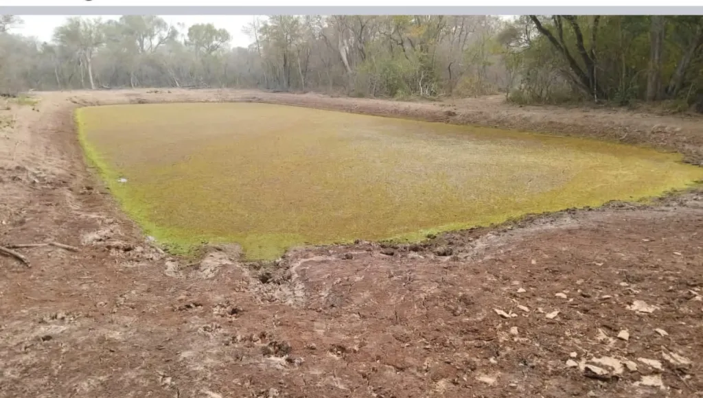 MCAL. ESTIGARRIBIA, TTE. PICO: INMEJORABLE ESTABLECIMIENTO, 2.220 HAS, PASTURAS DIVERSAS. — photo 2