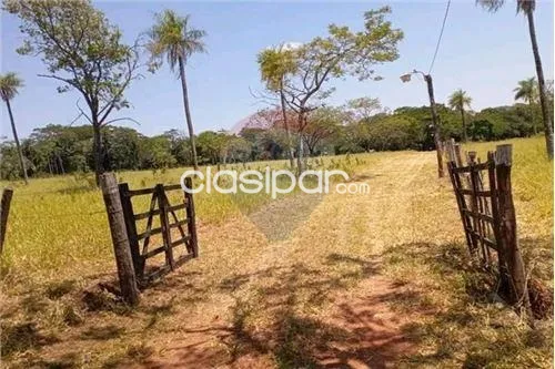 VENDO CASA QUINTA EN PIRIBEBUY 13.5 HECTAREAS — foto 2