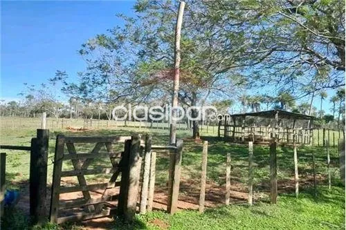 VENDO CASA QUINTA EN PIRIBEBUY 13.5 HECTAREAS — foto 3