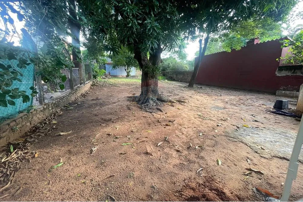 VENDO TERRENO EN BARRIO MBOCAYATY — foto 2