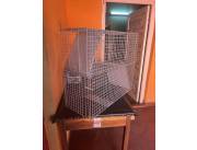 Jaula Trampa para gatos y otros animales