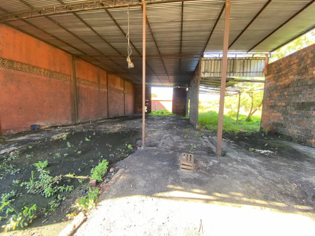 TINGLADO SOBRE RUTA JOSE FALCÓN — foto 2