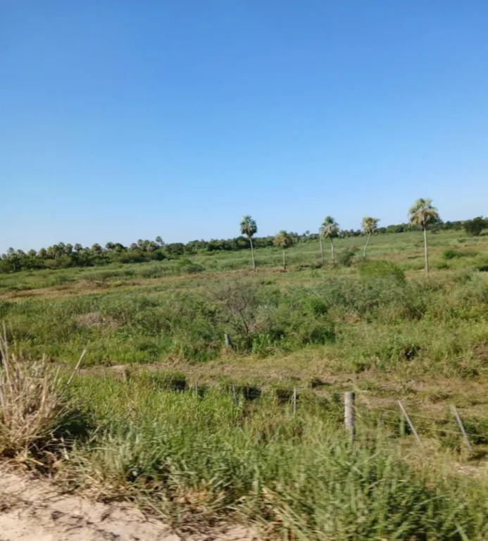 Vendo Propiedad de 2.400 Hectáreas, Zona Villa del Rosario - CLCS7073010 — foto 3