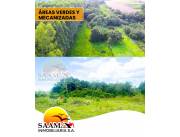3,5 HECTÁREAS EN VENTA- MINGA GUAZÚ - KM 22 MONDAY