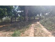 EMBOSCADA, CORDILLERA: 10 HAS IDEALES P/ CANTERAS Y BOSQUES EN ESTADO NATURAL.
