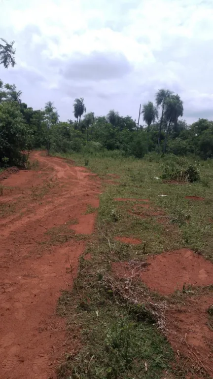 Vendo un hermoso terreno de 5 hectáreas — foto 2