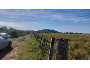 EN VENTA 1050 HECTAREAS EN NUEVA ITALIA