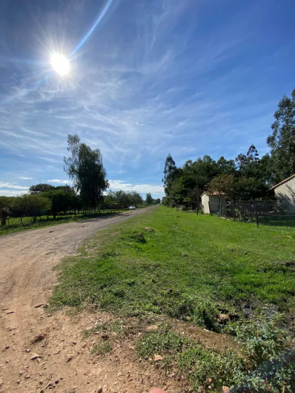 EN VENTA 1050 HECTAREAS EN NUEVA ITALIA — foto 2