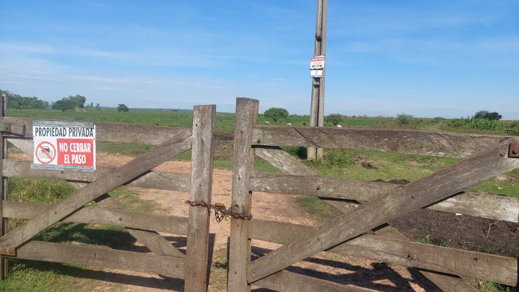 EN VENTA 1050 HECTAREAS EN NUEVA ITALIA — foto 3