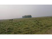 Vendo Campo de 1.714 Hectáreas en Villa del Rosario, San Pedro - CLCS7073777