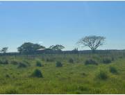 VENDO ESTANCIA EN SANTA ROSA MISIONES COD 5593