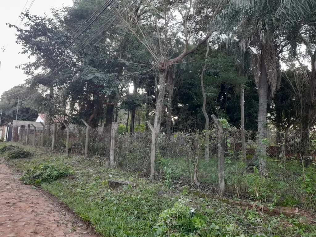 VENDO AMPLIO TERRENO EN LUQUE, BARRIO ZARATE ISLA COD 5397 — foto 2