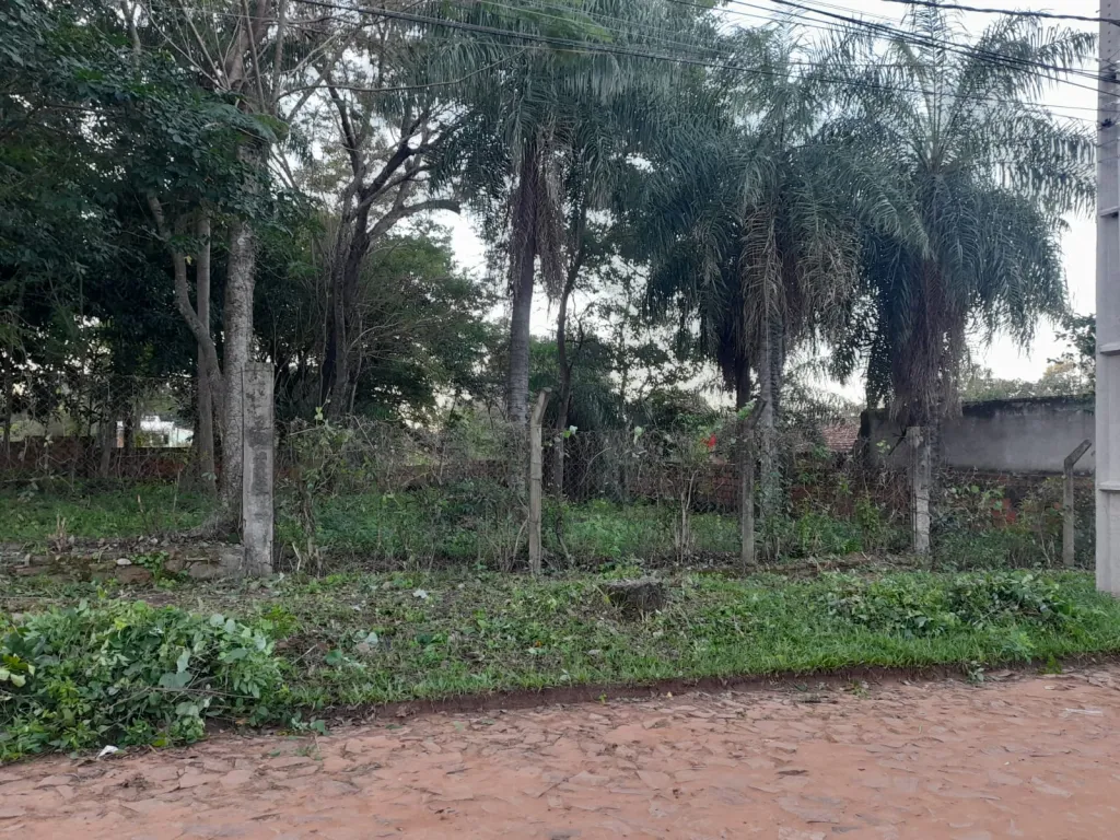 VENDO AMPLIO TERRENO EN LUQUE, BARRIO ZARATE ISLA COD 5397 — foto 3