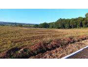 Lote en Carmen del Parana