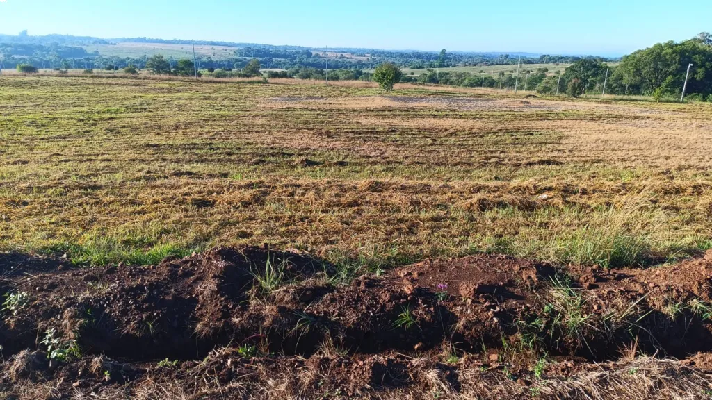 Lote en Carmen del Parana — foto 2