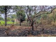 VENDO TERRENO DETRÁS DEL 🌳VIVERO POZO AZUL - LUQUE