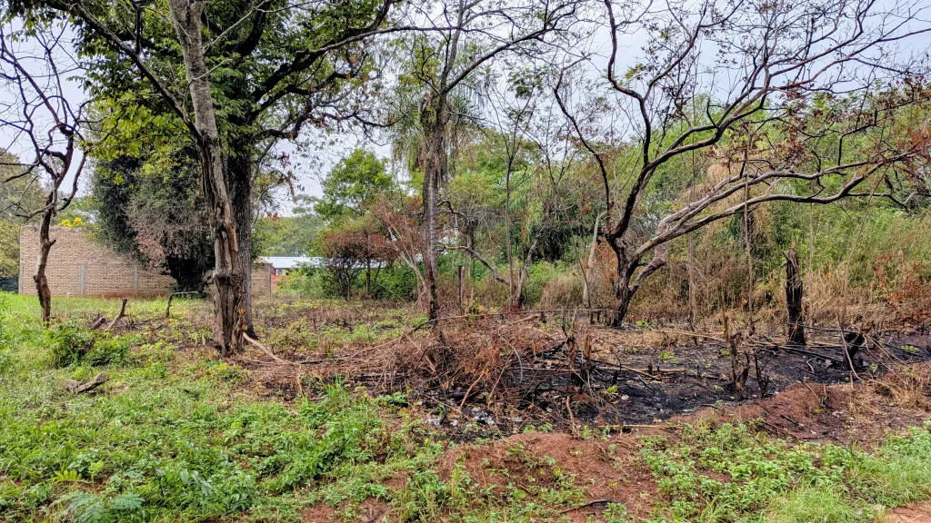 VENDO TERRENO DETRÁS DEL 🌳VIVERO POZO AZUL - LUQUE — foto 2