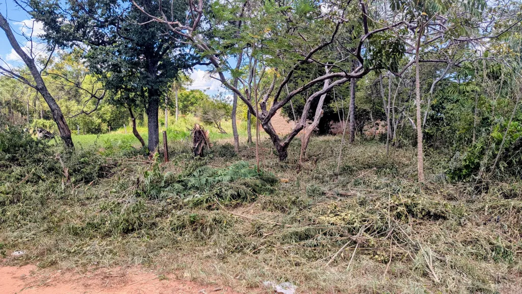 VENDO TERRENO DETRÁS DEL 🌳VIVERO POZO AZUL - LUQUE — foto 3