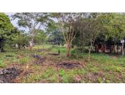 VENDO TERRENO DETRÁS DEL 🌳VIVERO POZO AZÚL - LUQUE (uno frente al otro)