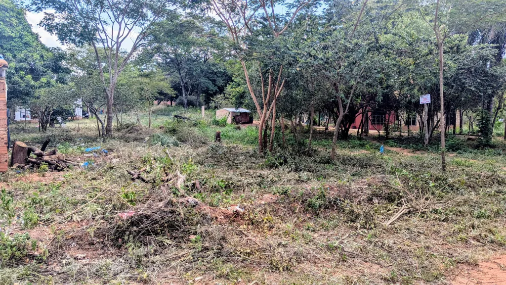 VENDO TERRENO DETRÁS DEL 🌳VIVERO POZO AZÚL - LUQUE (uno frente al otro) — foto 2