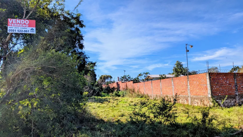 VENDO TERRENO EN MORA KUE - LUQUE — foto 3