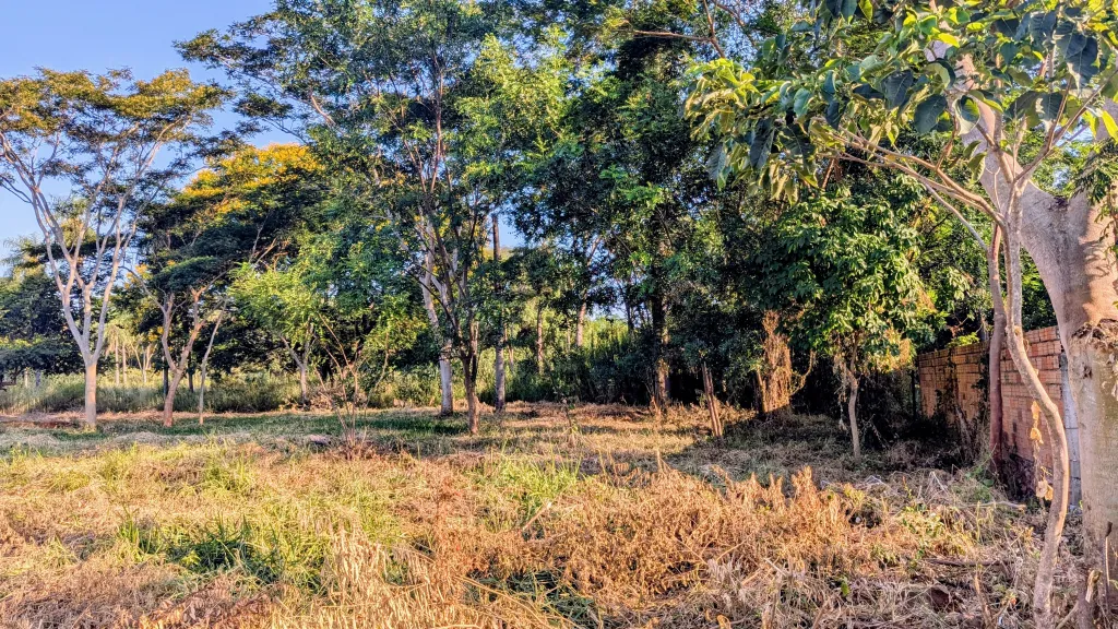 VENDO TERRENO EN ESQUINA EN LIMPIO - B° ISLA ARANDA — foto 2