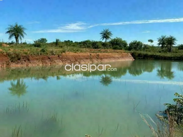 vendo campo de 90 has.En potrero Ybycui departamento de paraguari — foto 2