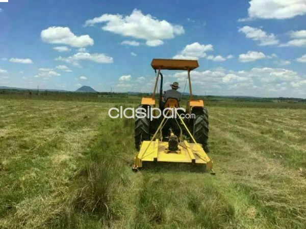 vendo campo de 90 has.En potrero Ybycui departamento de paraguari — foto 3