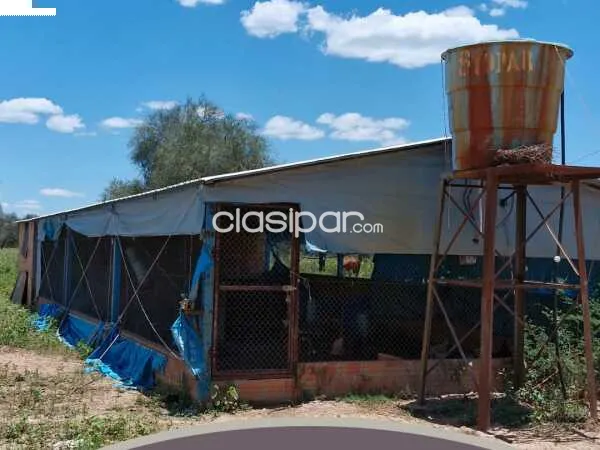 Vendo hermosa Estancia Santo Domingo Tte. Esteban Martínez - Pdte. Hayes — foto 3