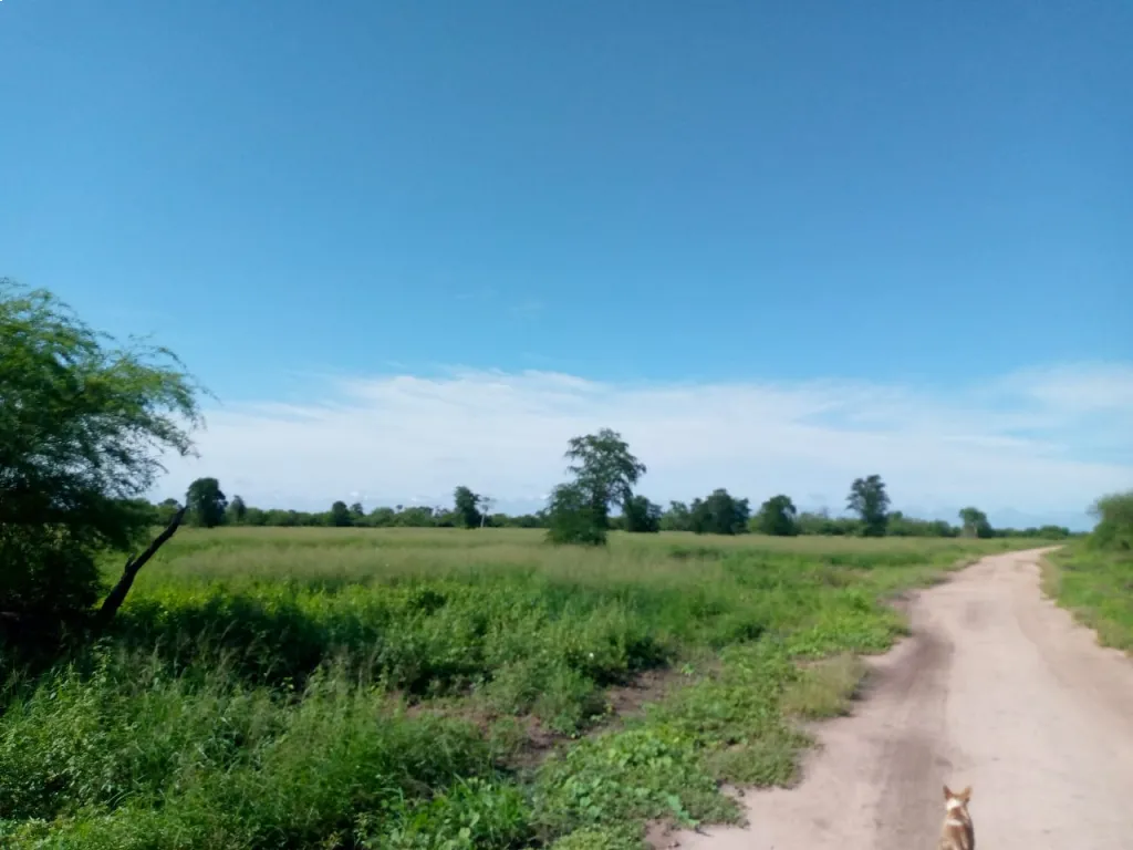 ESTABLECIMIENTO - EN VENTA – Distrito: Presidente Hayes, Zona: Tte. Manuel Irala Fernández — foto 2