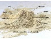 TIERRA DE DIATOMEAS