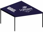 Toldo Plegable estructura de hierro