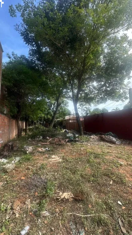 EN VENTA TERRENO EN LOMA MERLO LUQUE SOBRE AVENIDA AMERICA — foto 2