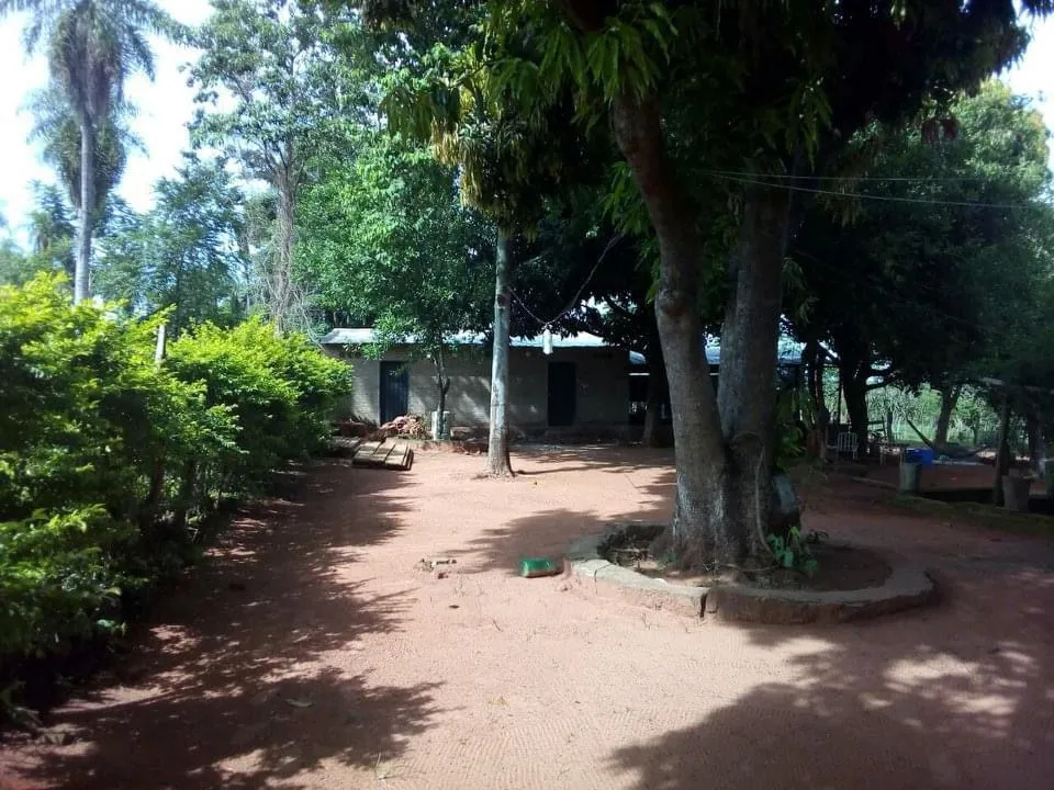 QUIINDY, PARAGUARÍ: OPORTUNIDAD ÚNICA! GRANJA QUINTA, 10 HAS, 2 CASAS, EN FUNCIONAMIENTO. — foto 2