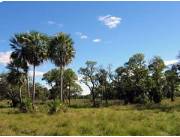 Remato Campo 1700Hect BAJO CHACO