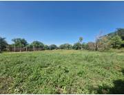 VENDO PROPIEDAD DE 3 HECTAREAS EN SAN LORENZO COD 5261