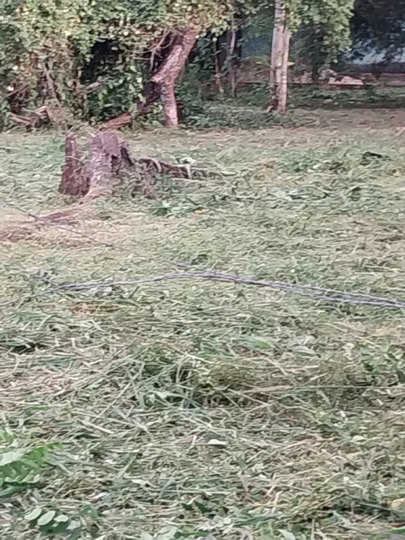 VENDO TERRENO EN MRA — foto 2