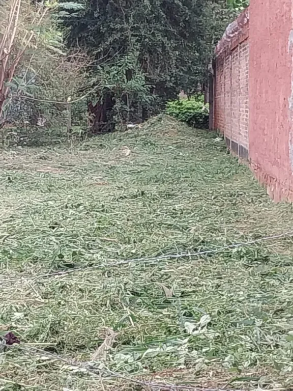 VENDO TERRENO EN MRA — foto 3