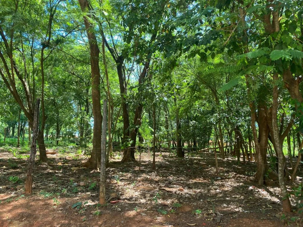 VENDO TERRENO EN LIMPIO SALADO COD 5387 — foto 2