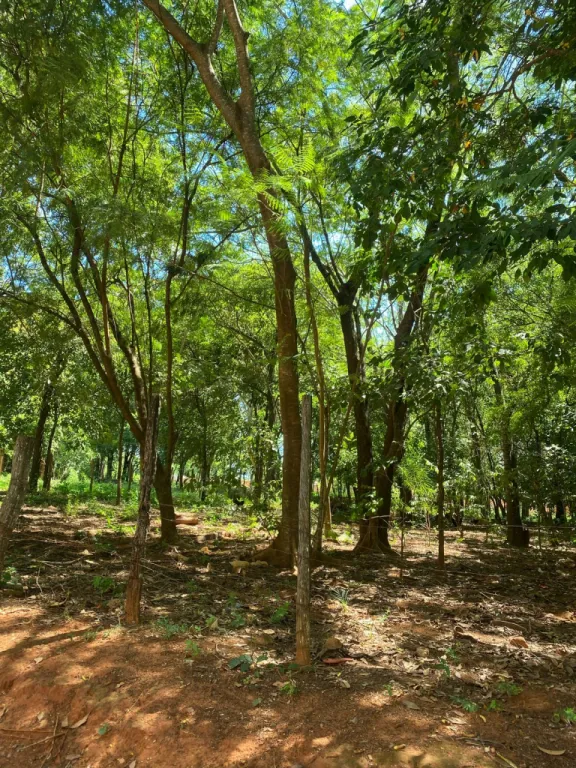 VENDO TERRENO EN LIMPIO SALADO COD 5387 — foto 3