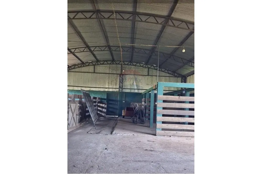 VENDO GRANJA PRODUCTIVA A PASOS DEL CENTRO DE SANTA RITA — foto 2
