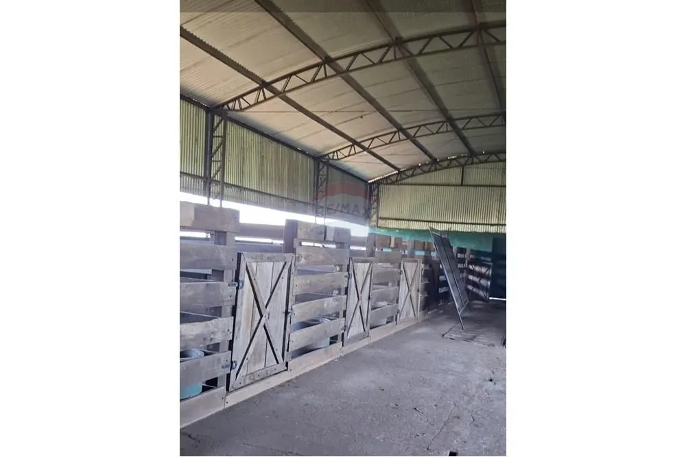 VENDO GRANJA PRODUCTIVA A PASOS DEL CENTRO DE SANTA RITA — foto 3